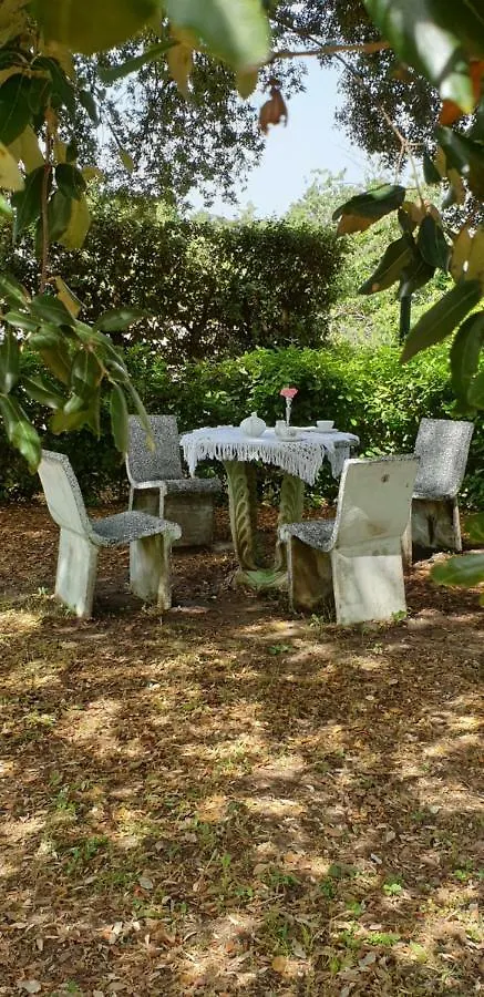 Bed & Breakfast La Villa Sansepolcro